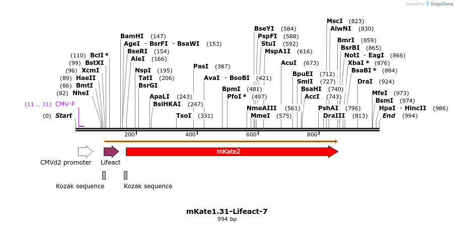 85065_map