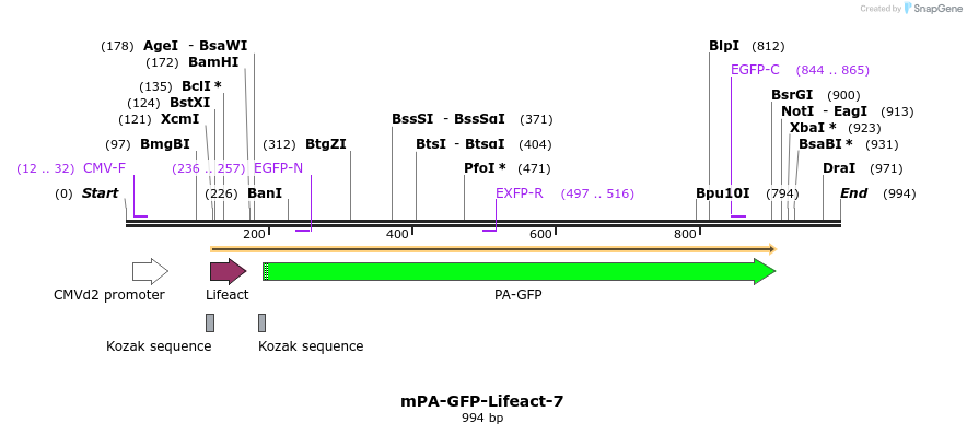 85068_map