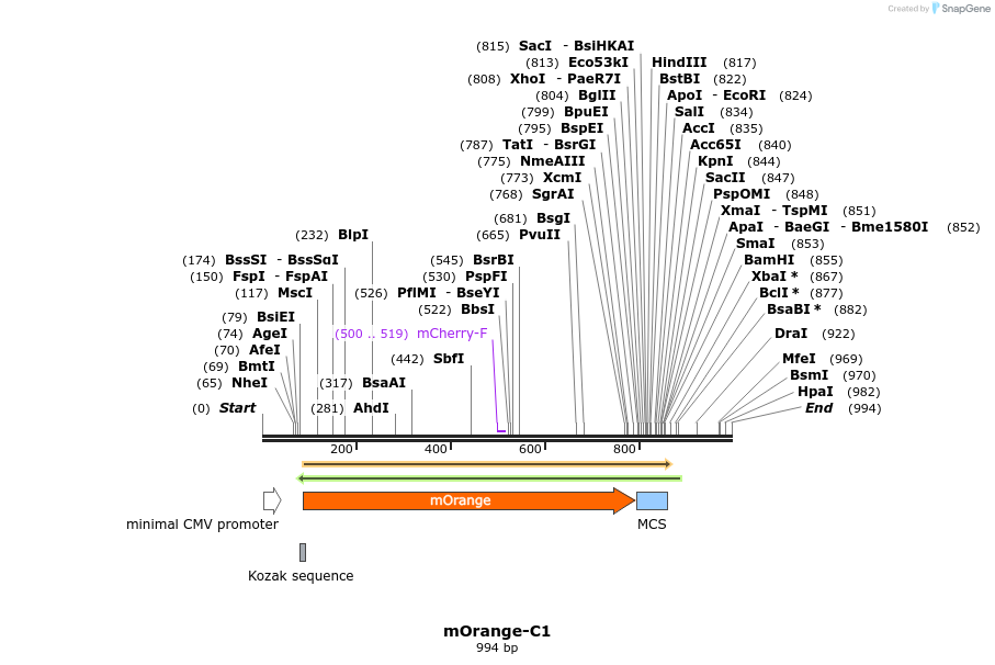 85077_map