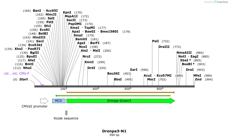 85079_map