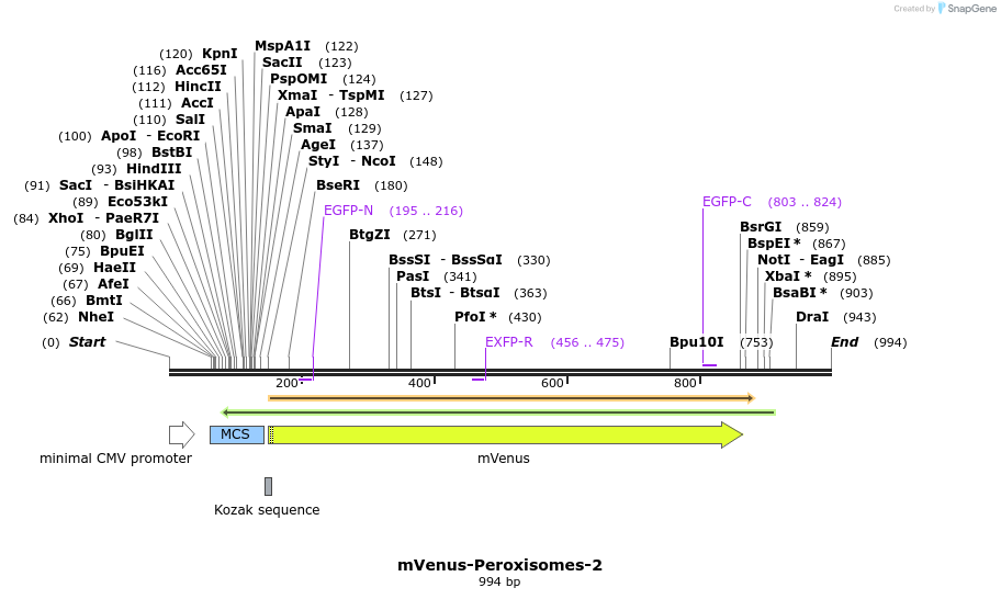 85089_map