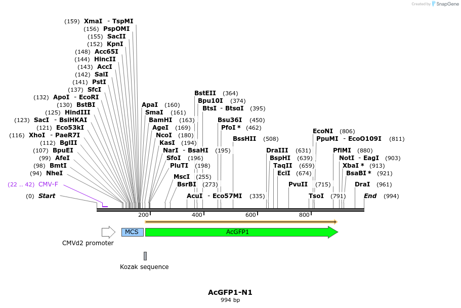 85102_map