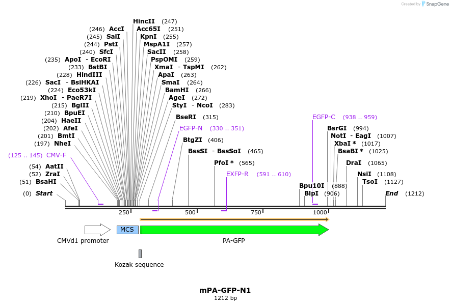85109_map