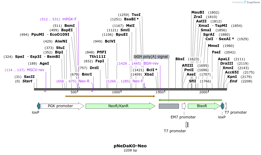 8511_map