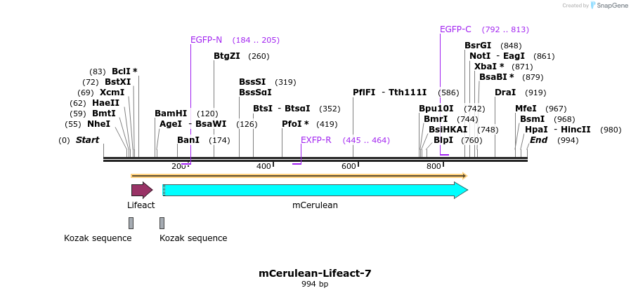 85110_map