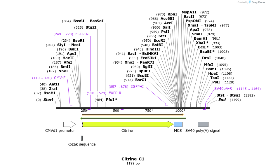 85112_map