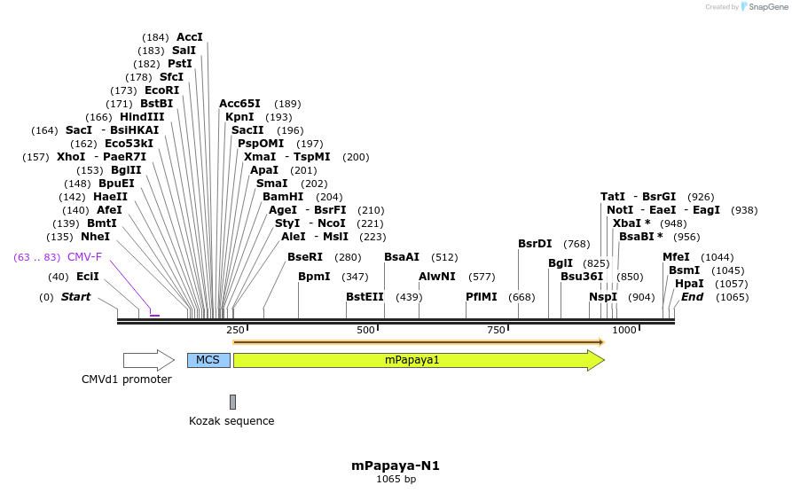 85113_map