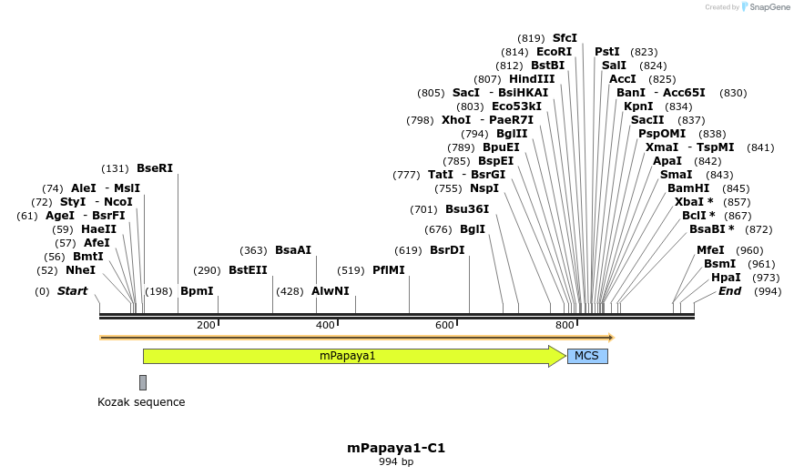 85119_map