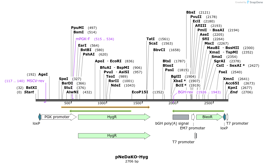 8512_map