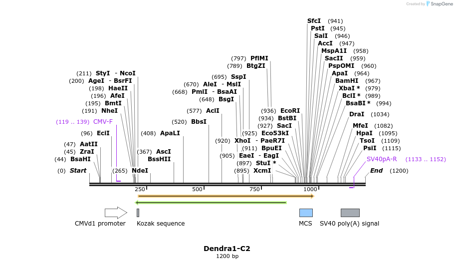 85121_map