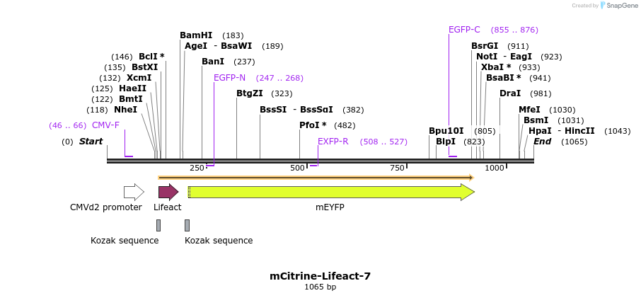85130_map