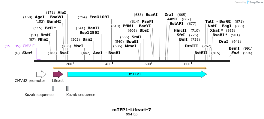 85146_map
