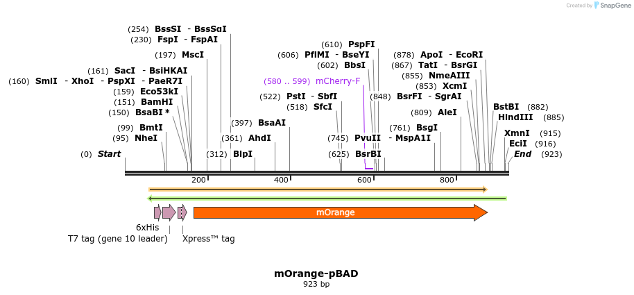 85148_map