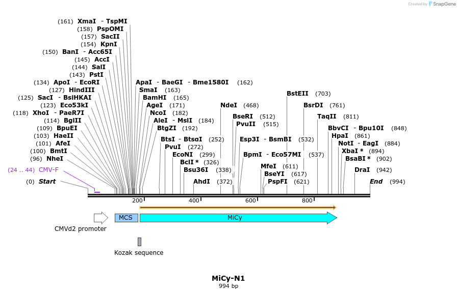 85149_map