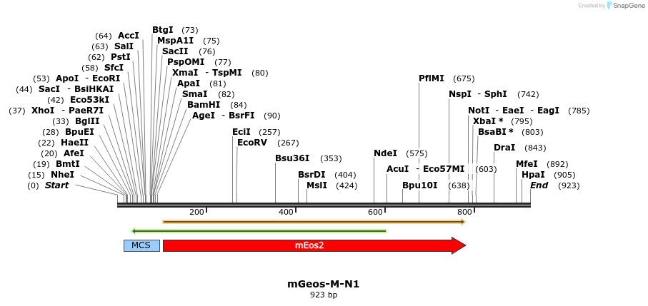 85150_map