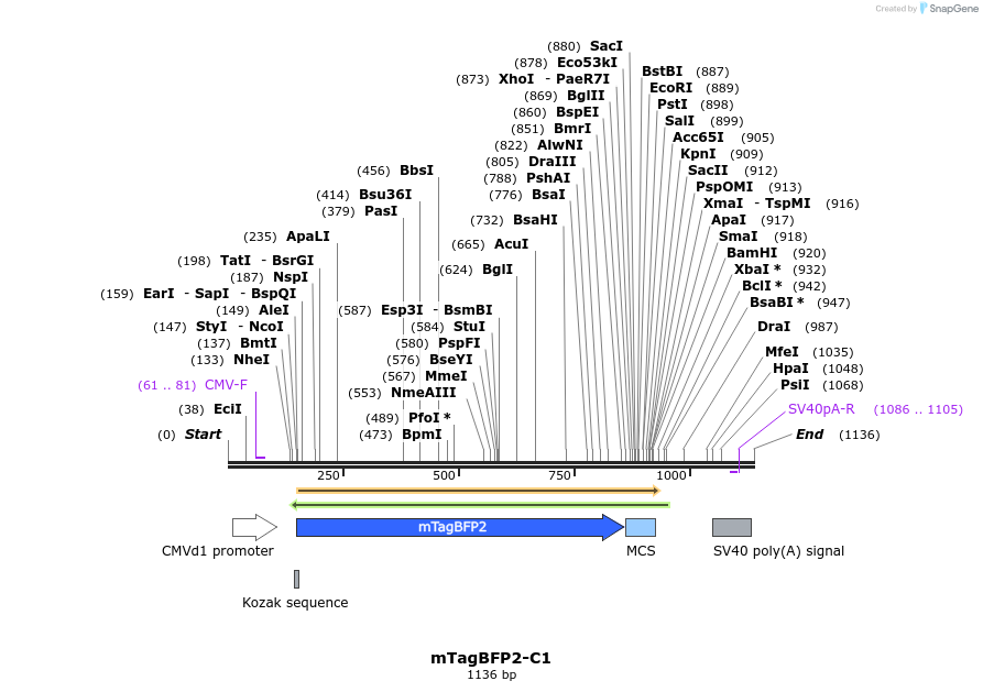 85158_map