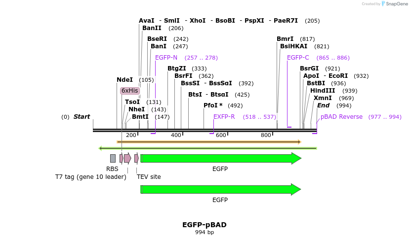 85159_map