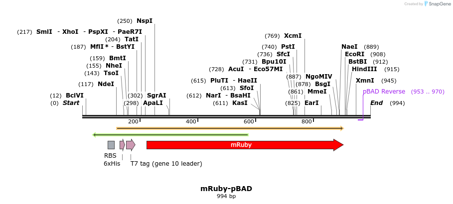 85160_map