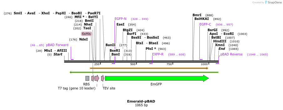 85174_map
