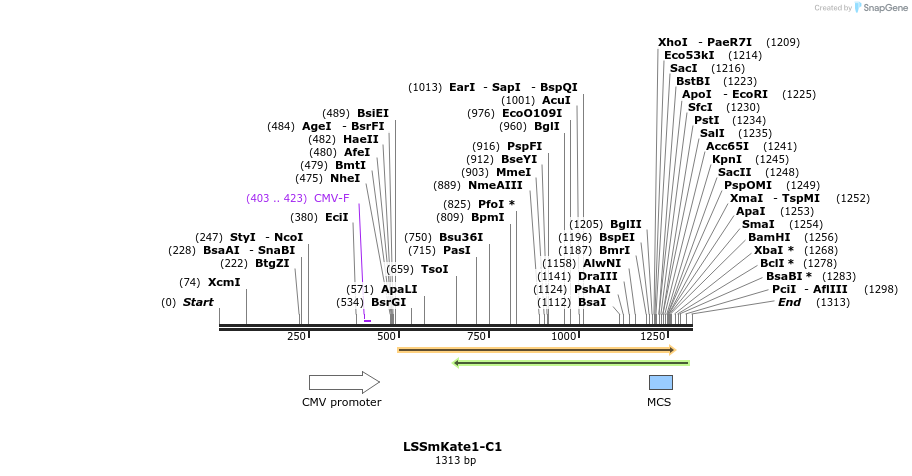 85193_map