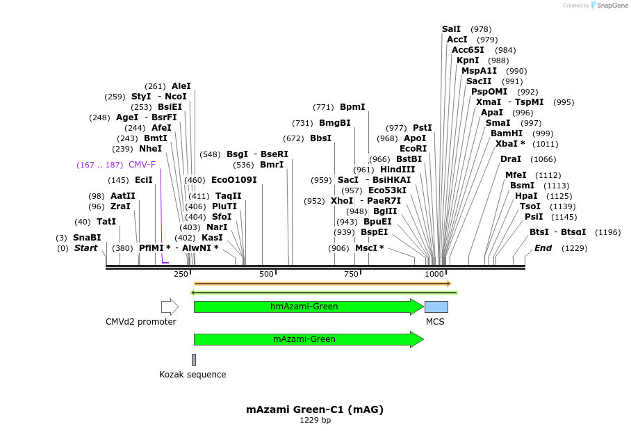 85198_map