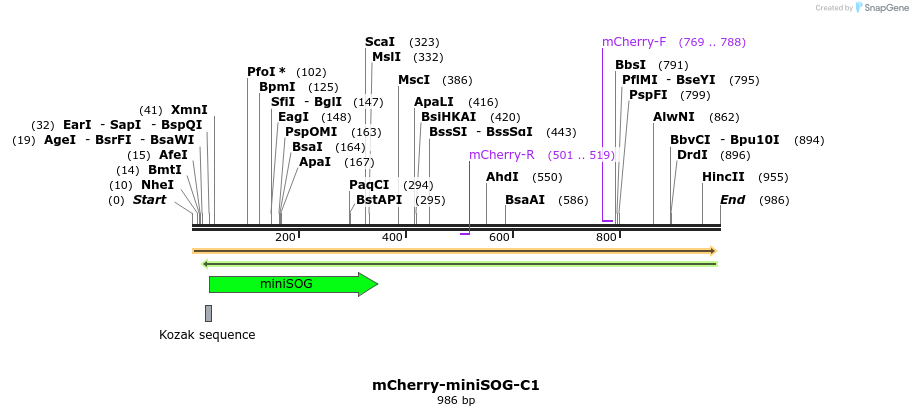 85200_map