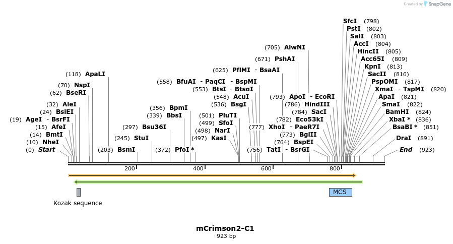85203_map
