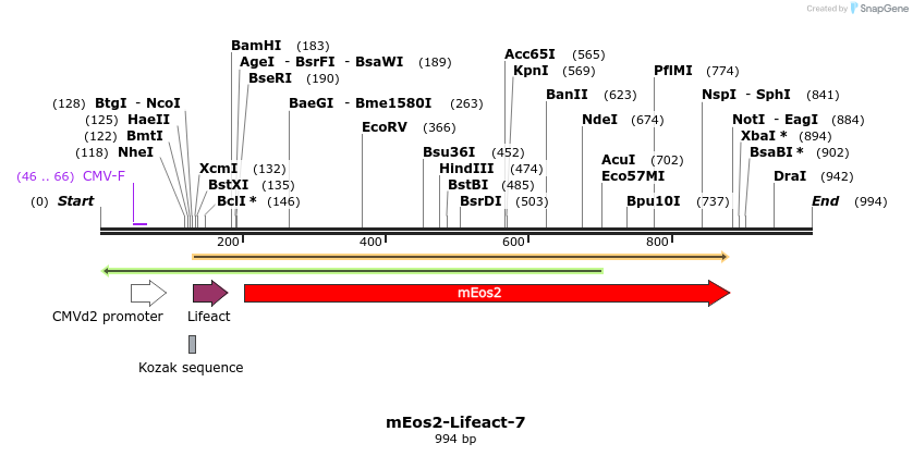 85205_map