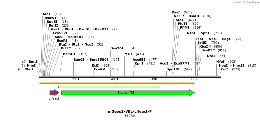 85214_map