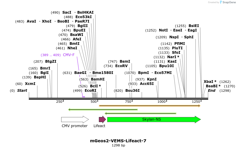 85216_map
