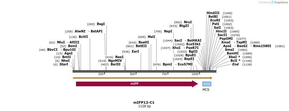 85217_map