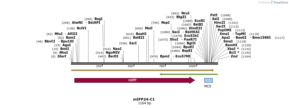 85218_map