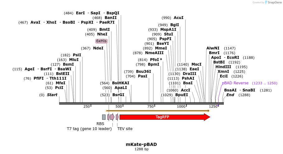 85221_map