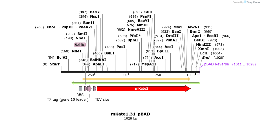 85222_map