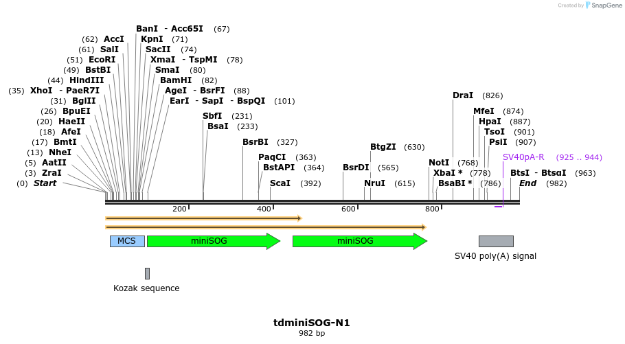 85234_map