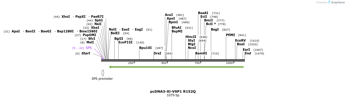 85240_map