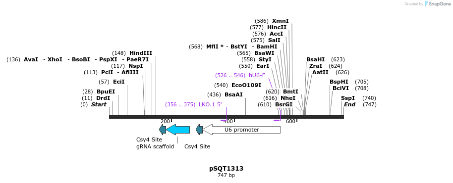 85246_map