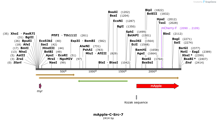 85259_map