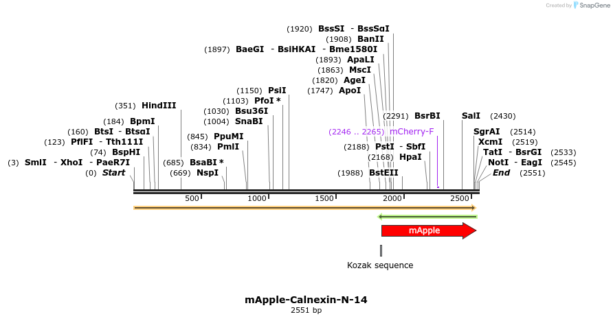 85261_map
