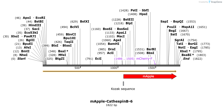 85262_map