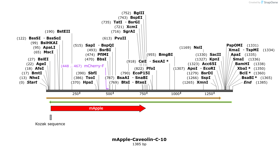 85263_map
