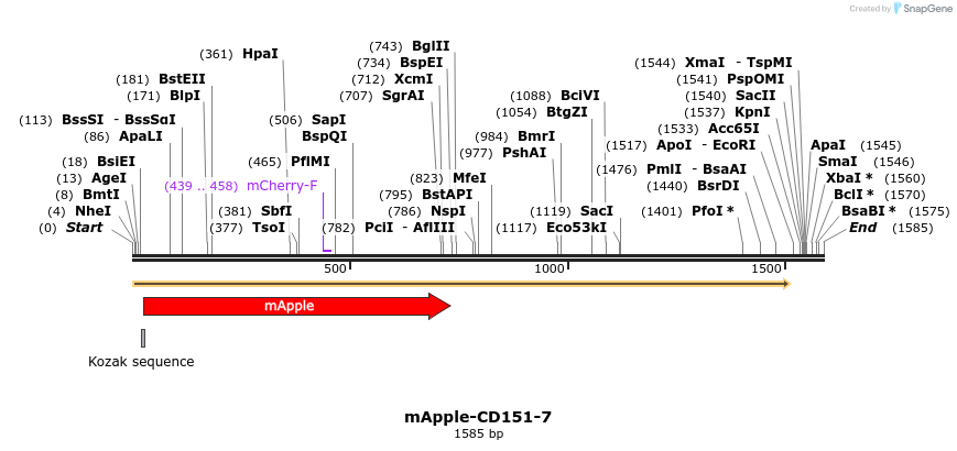 85264_map