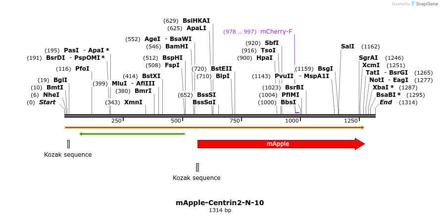 85268_map