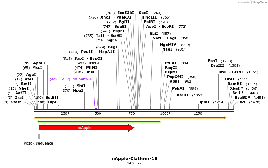 85269_map
