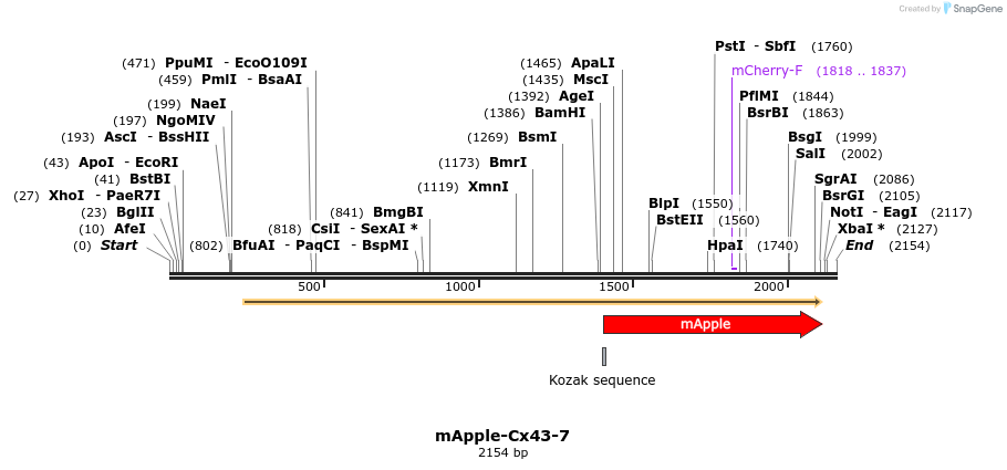 85271_map