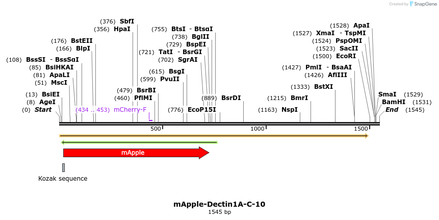 85273_map