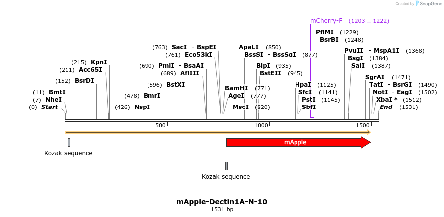 85274_map