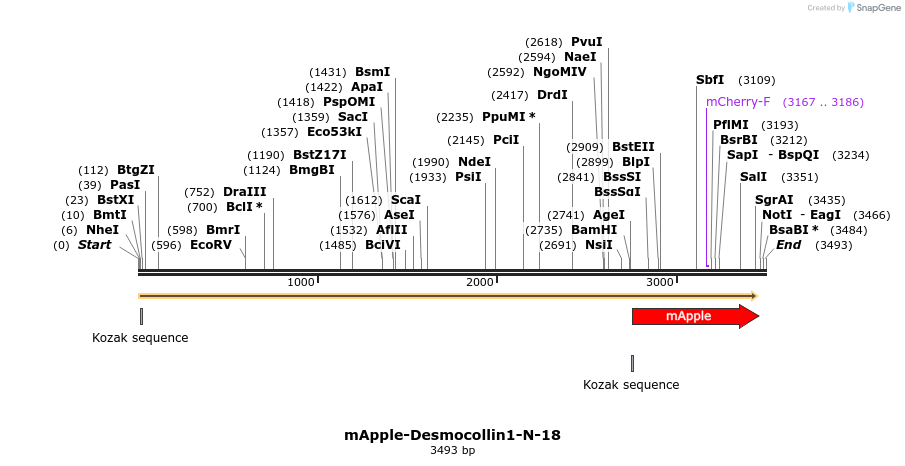 85276_map