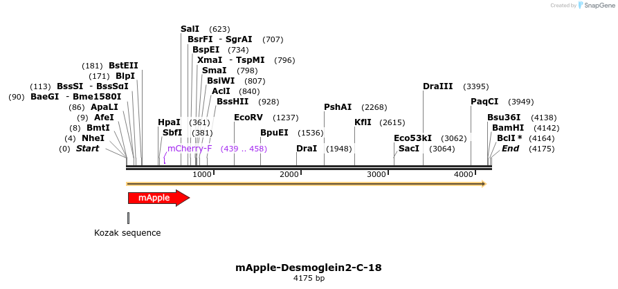 85279_map