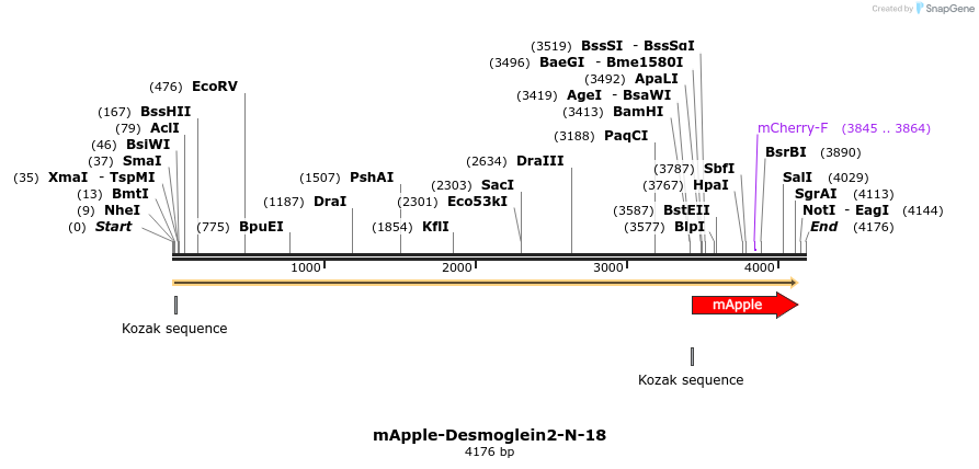 85280_map